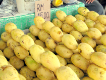 mango of Kota Kinabalu