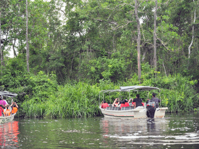 Klias Wetland8